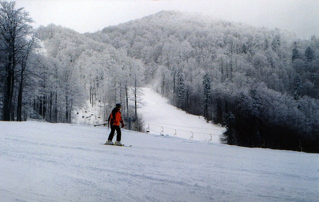 skijanje bjelolasica