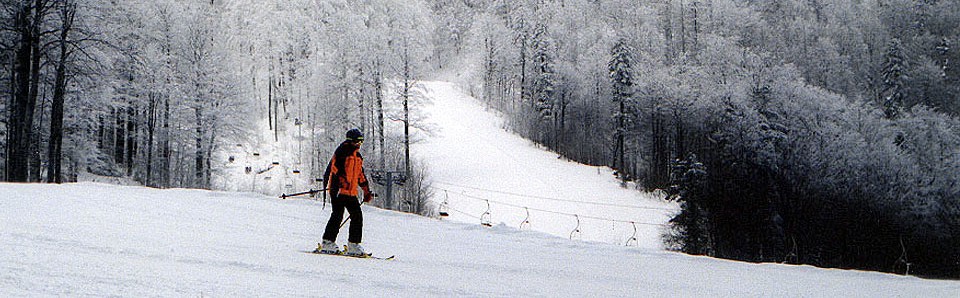 Skijanje na Bjelolasici